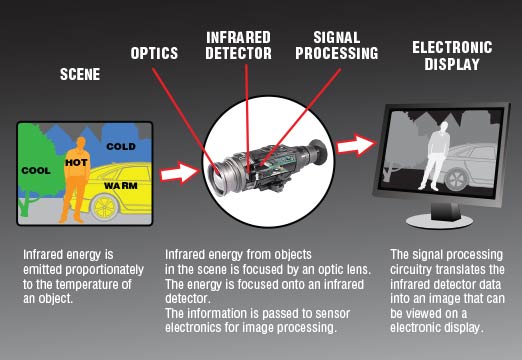 Process detector